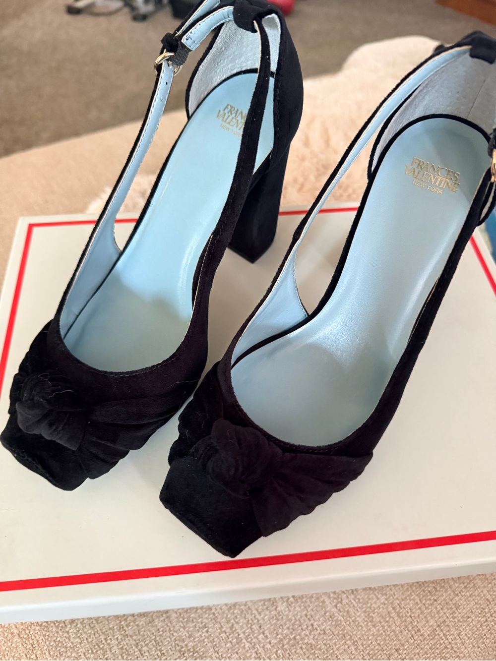 Frances Valentine black velvet Block Heel Slingback Pumps